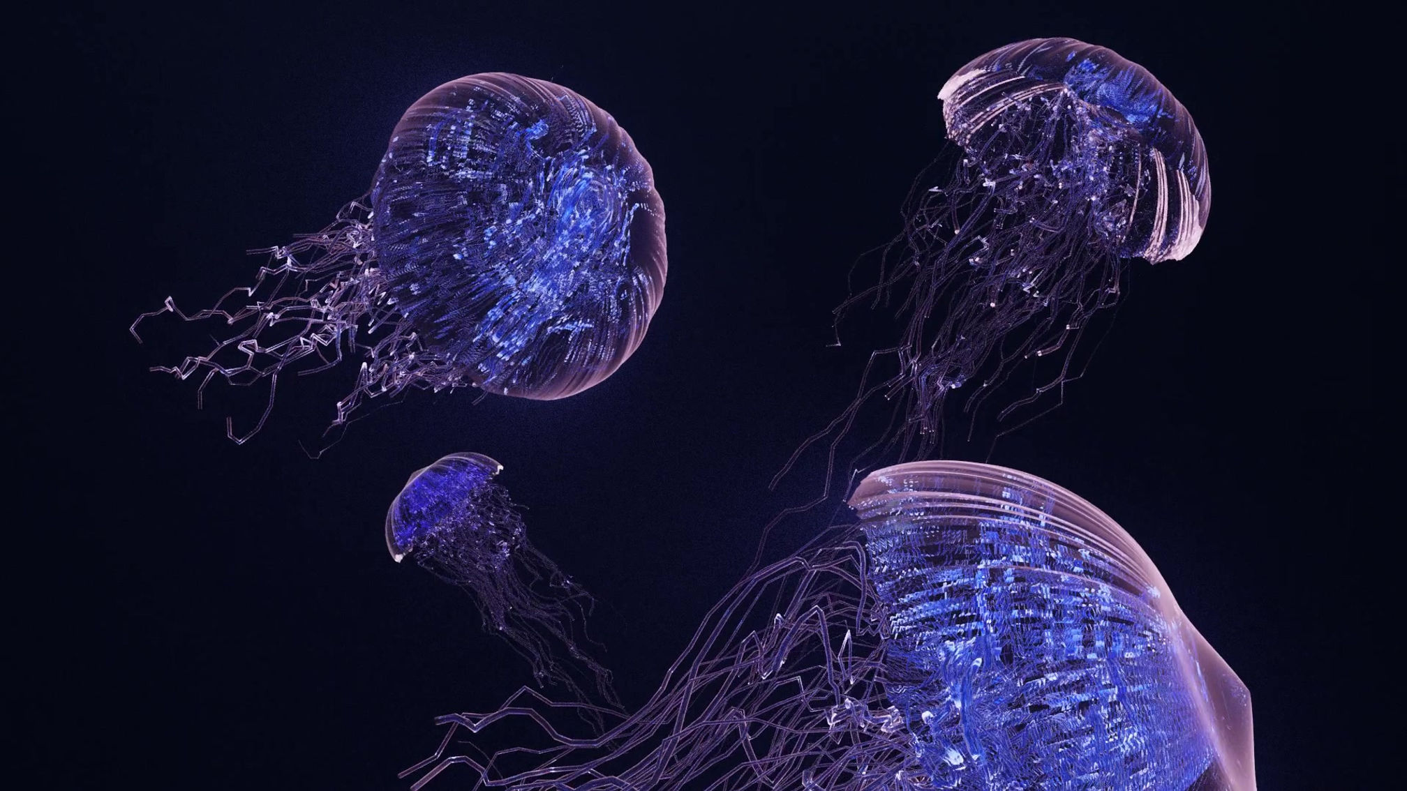 Jellyfish animation